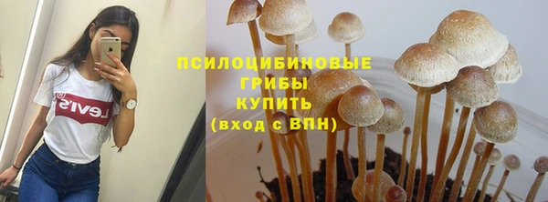 стафф Дмитров