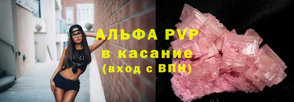 стафф Дмитров