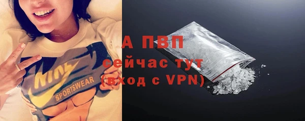 стафф Дмитров