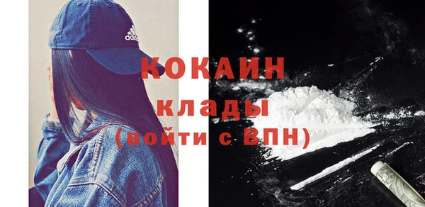 стафф Дмитров