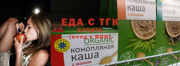 синтетический гашиш Дмитриев