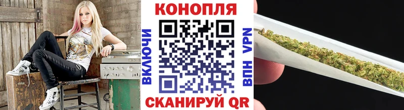 Купить закладки  Россошь  Шишки марихуана тримм 